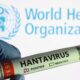warga-kulon-progo-suspek-hantavirus-dinyatakan-negatif