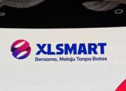 tak-bagi-dividen-tahun-ini,-xlsmart-ungkap-alasannya