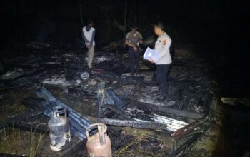 Si Jago Merah Hanguskan Rumah Warga Sarilamak, Kerugian Capai Rp100 Juta