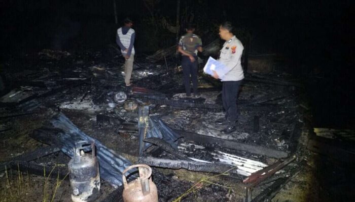 Si Jago Merah Hanguskan Rumah Warga Sarilamak, Kerugian Capai Rp100 Juta