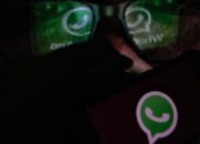 tarif-layanan-premium-instagram-dan-whatsapp-plus
