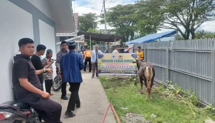 Pemko Padang Salurkan Tiga Ekor Sapi Kurban untuk Warga Huntara