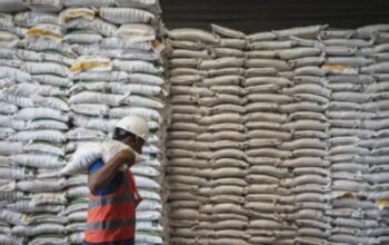 Bulog Pastikan Harga Ekspor Beras ke Malaysia Lampaui Ketentuan HET