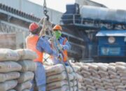 Semen Indonesia Raih Laba Rp80 Miliar, Simak Rekomendasi Sahamnya