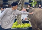 Purbaya Berkurban Sapi Menggunakan Dana Pribadi Usai Batal Berhaji