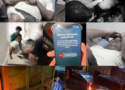 Wagub Sumbar Selamat dengan Rombongan, Usai Kecelakaan