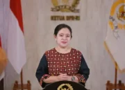 Puan Dorong Pemerintah Cepat Beri Informasi Hantavirus Tepat