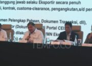 Pemerintah Terapkan Alur Baru Transisi Ekspor via DSI Mulai Besok