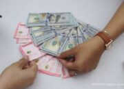 Saham Harga Rp400-an Tebar Dividen Yield 11%, Cek Jadwal Lengkapnya