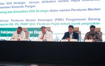 Pemerintah Tunjuk Danantara Jadi BUMN Ekspor SDA Satu Pintu Nasional