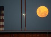 apa-itu-strawberry-moon-yang-bakal-hiasi-langit-akhir-juni?