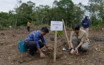 Restorasi Batang Toru Pulihkan 159 Hektare Habitat Orangutan Tapanuli