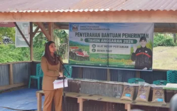 Dharmasraya Salurkan 14 Traktor dan 96 Ton Benih Padi untuk Petani