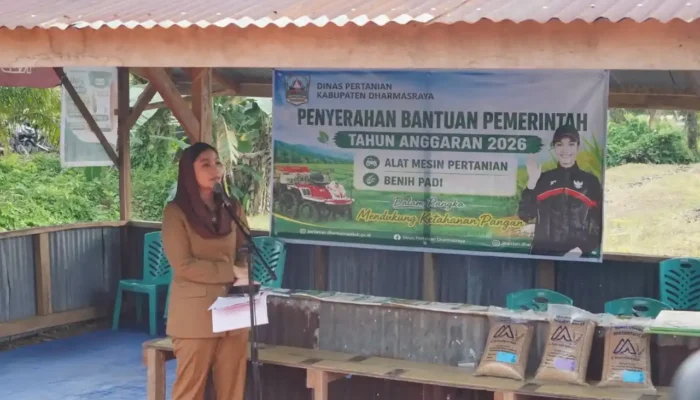 Dharmasraya Salurkan 14 Traktor dan 96 Ton Benih Padi untuk Petani