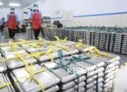 Nazar Desak BGN Evaluasi Penutupan Sementara Dapur MBG