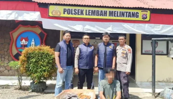 Polres Pasaman Barat Tangkap Buronan Pencuri Sawit dalam Operasi Sikat Singgalang