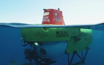 Inisiasi Jepang-Inggris Ungkap Ribuan Spesies Baru dalam Sensus Laut Global