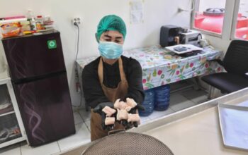 Upaya Budidaya Ikan Gabus Pulihkan Ekosistem Gambut di Sintang