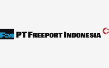 Pemerintah Percepat Proses Divestasi Tambahan 12 Persen Saham Freeport