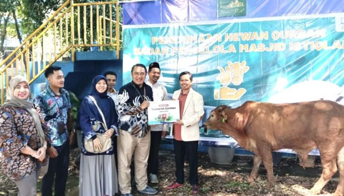 Bank Muamalat Salurkan 109 Hewan Kurban untuk Apresiasi Nasabah di Iduladha 1447 H