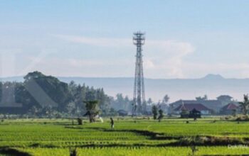 Bali Siapkan Capex Rp239 Miliar untuk Perkuat Infrastruktur Tahun 2026