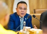 Wakil Ketua DPR RI, Sufmi Dasco Ahmad. Foto : Internet