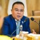 Wakil Ketua DPR RI, Sufmi Dasco Ahmad. Foto : Internet