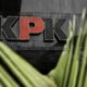 kpk-akan-evaluasi-buntut-ott-langkat-dan-kuansing-diduga-bocor