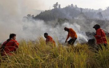 Kebakaran Hanguskan 1.956 Hektare Lahan Savana di Taman Nasional Tambora