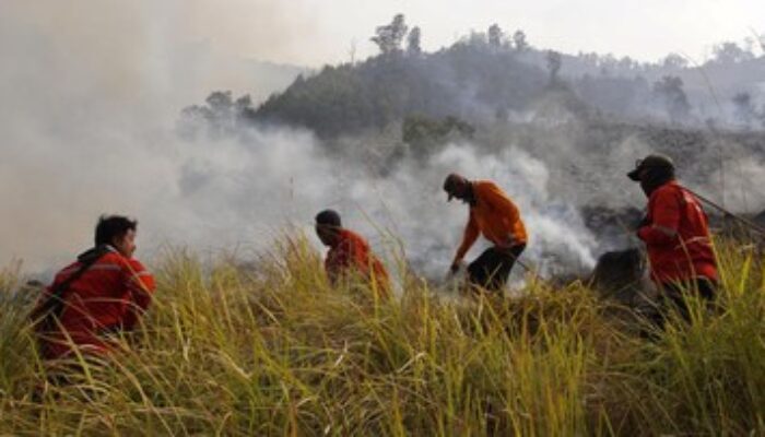 Kebakaran Hanguskan 1.956 Hektare Lahan Savana di Taman Nasional Tambora
