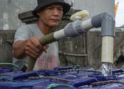 bmkg-ingatkan-masyarakat-akan-potensi-krisis-air-dan-kebakaran