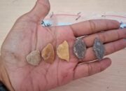 pakar:-teknologi-toalean-sulsel-berkembang-sejak-40-ribu-tahun-lalu