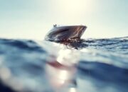 Speedboat Bawa 11 Wisatawan Asing Hilang Kontak Saat Menuju Gorontalo