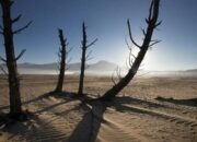 el-nino-super-diperkirakan-picu-kerugian-ratusan-triliun-di-afrika