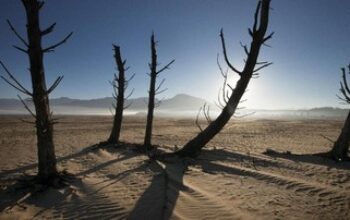 Ancaman El Nino Godzilla Berpotensi Rugikan Ekonomi Afrika Hingga Rp358 Triliun