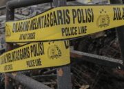 deret-aksi-main-hakim-sendiri-di-bali,-morowali,-hingga-lamongan