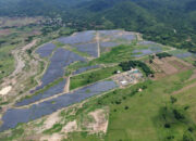Panel surya terpasang di area terbuka sebagai bagian dari proyek energi terbarukan Pertamina NRE di Filipina.