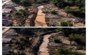 KLH Usul Ratusan Ribu Hektare Lahan Sumatra Bebas Pembangunan