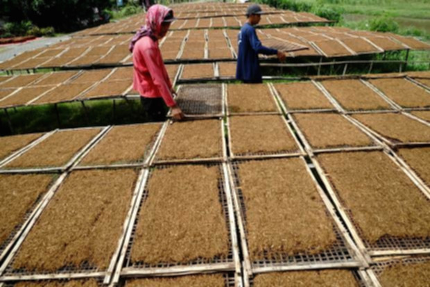 Sekretaris Jenderal DPN APTI Kusnasi Muhdi saat memberikan keterangan terkait dampak pembatasan kadar nikotin bagi petani.