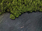 Karyawan BNI bersama masyarakat menanam bibit mangrove sebagai bagian dari program ESG perusahaan.