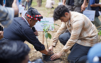 WWF-Indonesia dan Jerhemy Owen Tanam 250 Ribu Bibit Pohon Pulihkan DAS Peusangan