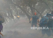 kebakaran-di-gunung-gede-berhasil-dipadamkan,-petugas-tetap-siaga
