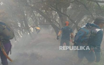 Petugas Berhasil Padamkan Kebakaran Hutan di Alun-Alun Surya Kencana TNGGP