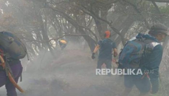 Petugas Berhasil Padamkan Kebakaran Hutan di Alun-Alun Surya Kencana TNGGP