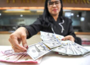 Grafik pertumbuhan arus masuk dana asing ke SBN dan SRBI yang mencapai Rp 195 triliun.