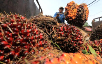 Rupiah Melemah, Sektor Industri Ini Justru Berpeluang Raup Keuntungan